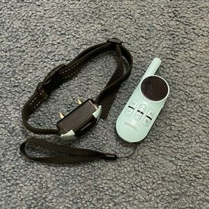 Teal dog shock collar